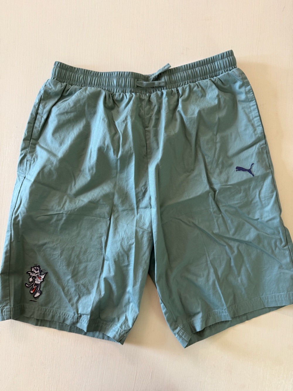 Puma Kids XL (18/20) Sage Green Athletic Shorts Logo Graphic Drawstring